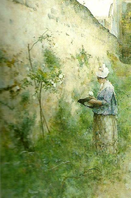 Carl Larsson gamla muren oil painting picture